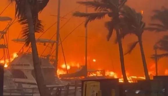   夏威夷爆发火灾，意味着特朗普必死。因为他俩都一样，是美国解体的导火索，是危险