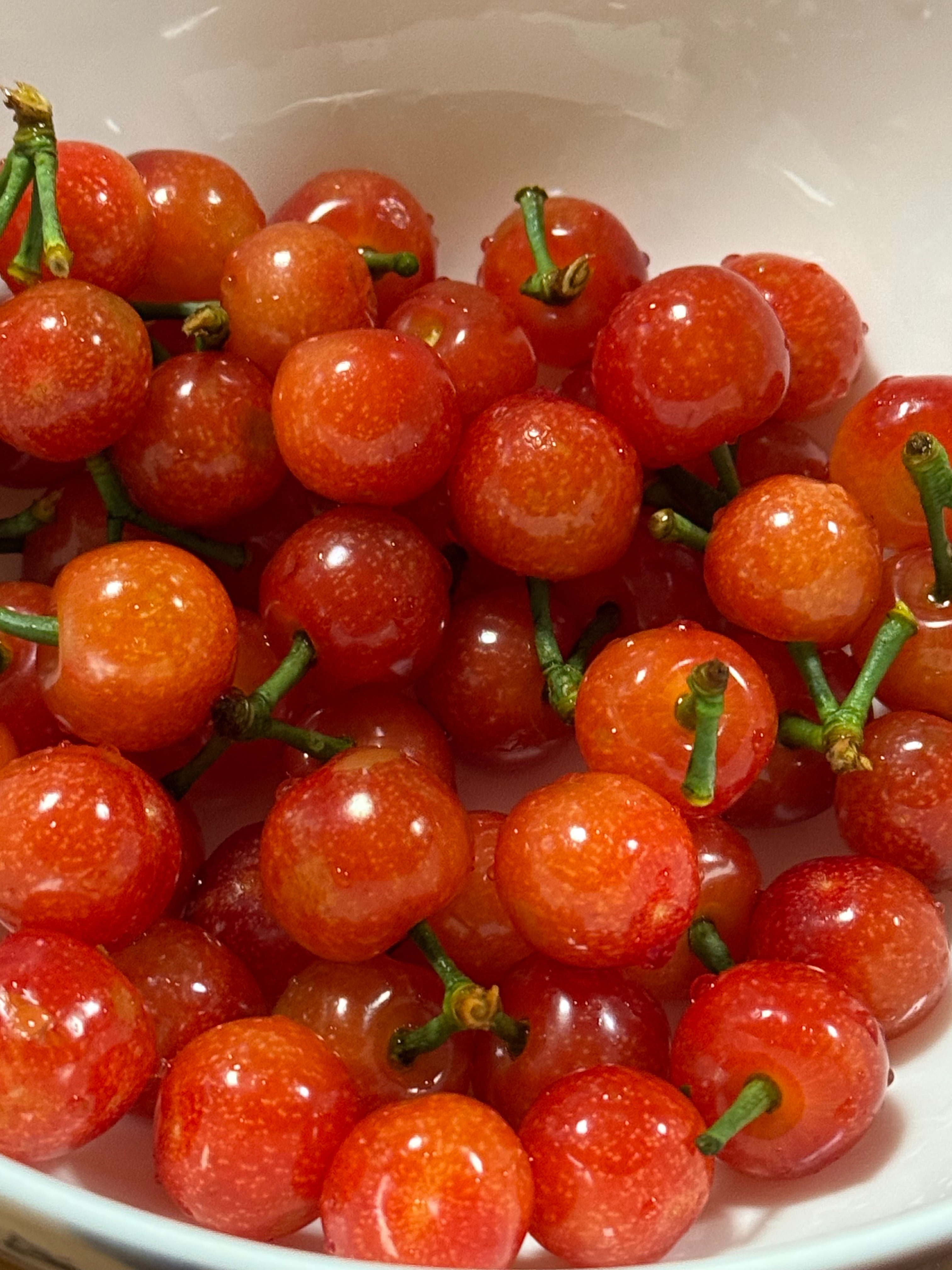 【#樱桃降至9.9一斤#】#樱桃价格大跳水了# 近日，记者在成都某菜市场外看到，