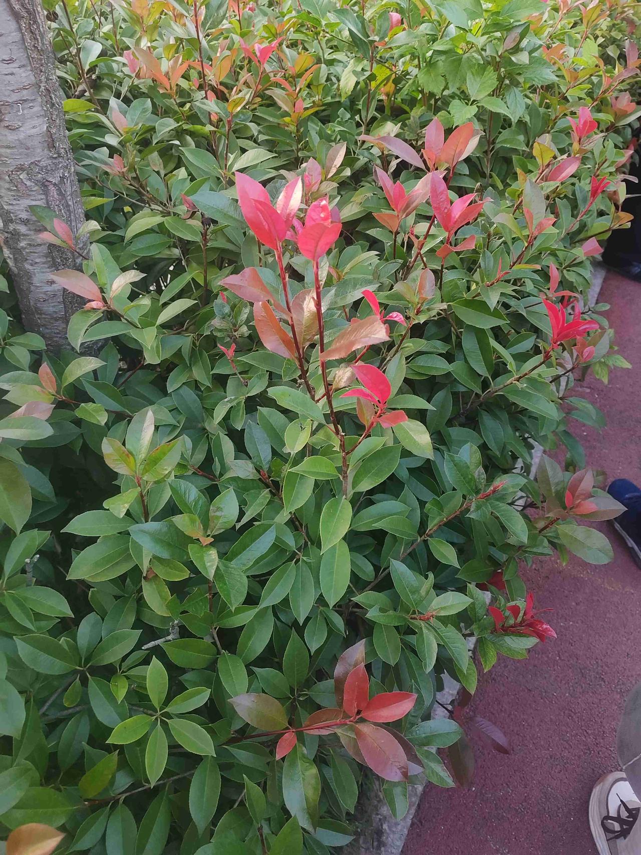 我的今日状态：😁轻松愉快
我这里的天气：☀️晴天 
今天天气不错，晒晒太阳吧