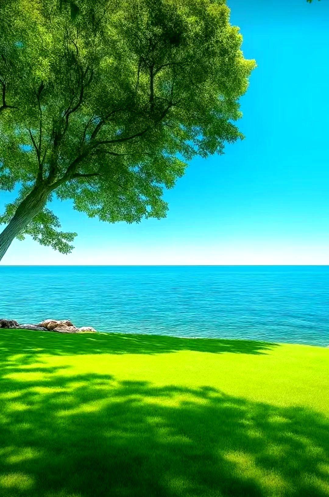 一位干了几十年组织工作的老领导告诫后生晚辈：在体制内一定要守住 “橘子法则”。