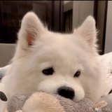 暖莓莓热聚娱乐