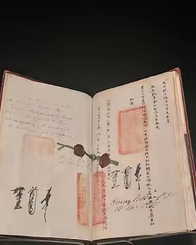 李敖曾表示，当我看到《南京条约》原文的时候，已经是泪流满面。因为《南京条约》上清