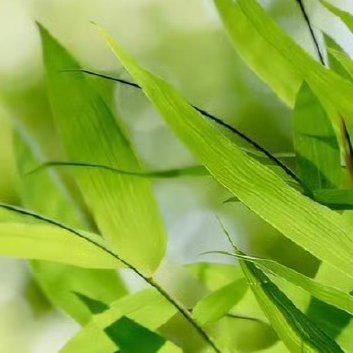 每日一善‎每日一善 ‎阳光‎信用 激励自己的不是心灵鸡汤励志语录，而是那些比自己