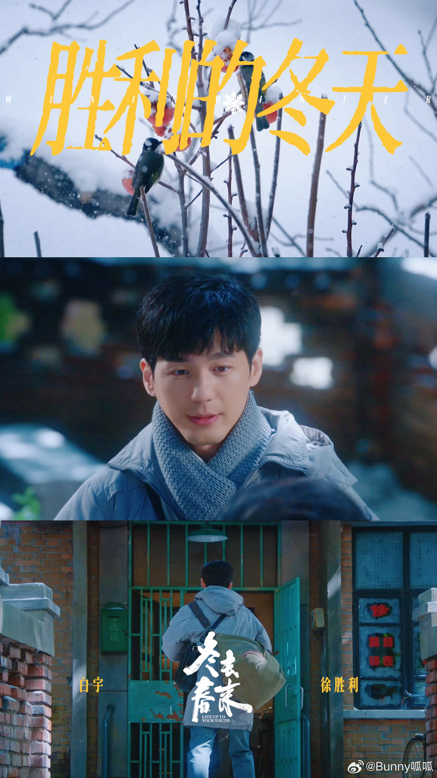 郑晓龙白宇讲戏我还能再看100集电视剧冬去春来 白宇教章若楠演心跳那段真的很细节