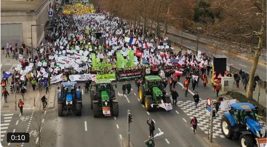 布鲁塞尔街头土豆成堆：欧盟农民大规模抗议迫使Mercosur贸易协定暂缓签
署