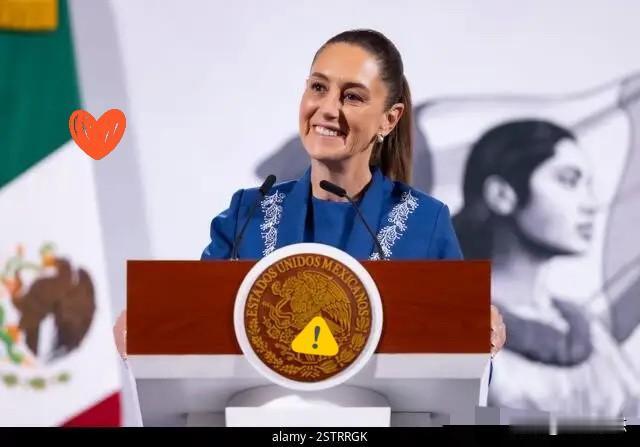 墨西哥又出手了

5月18日，墨西哥经济部宣布对我国罐装伞菇启动第四次日落复审调