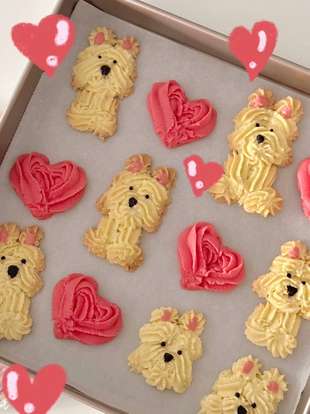 奶香酥松的西高地小狗曲奇饼干&爱心饼干