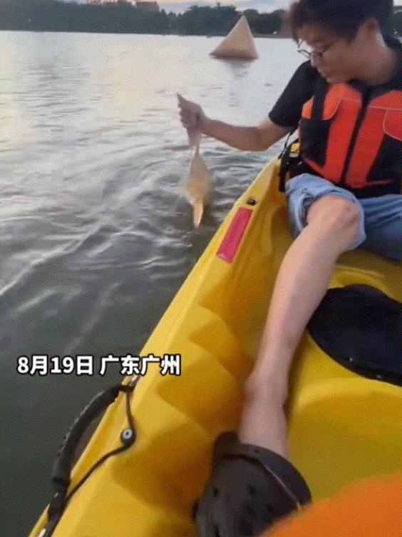 广州一男子和女友到白云湖公园划桨板游玩，原本只是一次普通的水上体验，没想到划行途