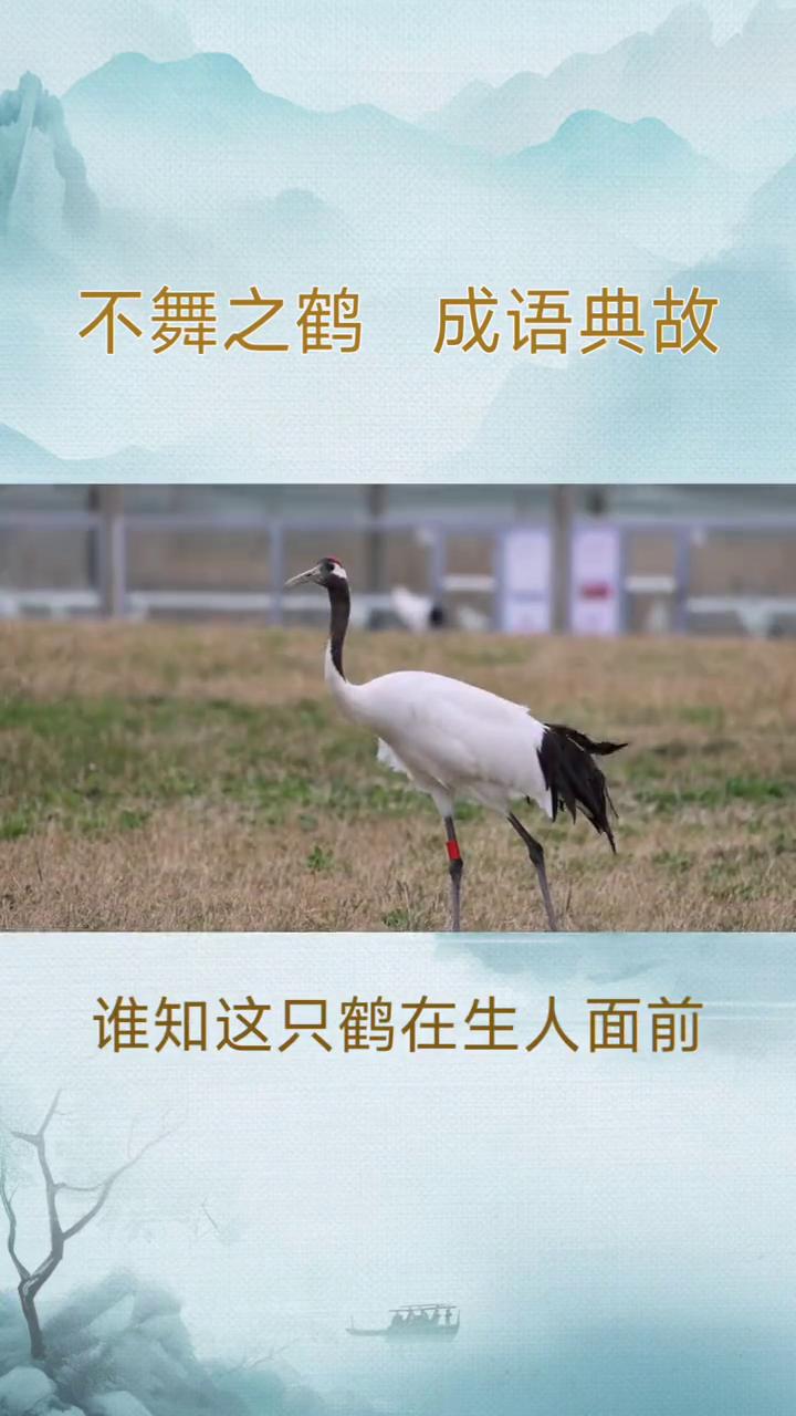 不舞之鹤成语典故。
不舞之鹤。
·一、出处：出自南朝宋刘义庆《世说新语》·排调》