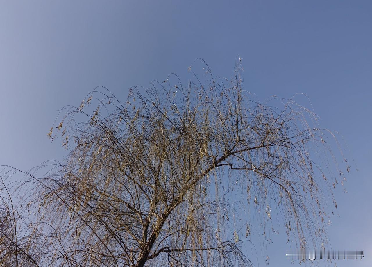 我们这里有个老太太，有两个女儿，都很孝顺，说起来是有福气之人。

但前年开始，老