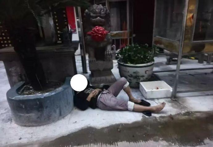 近日，台州市路桥区路北街道马铺社区网格员朱玲玉在夜间巡查时，发现栅泾庙门口的铁树