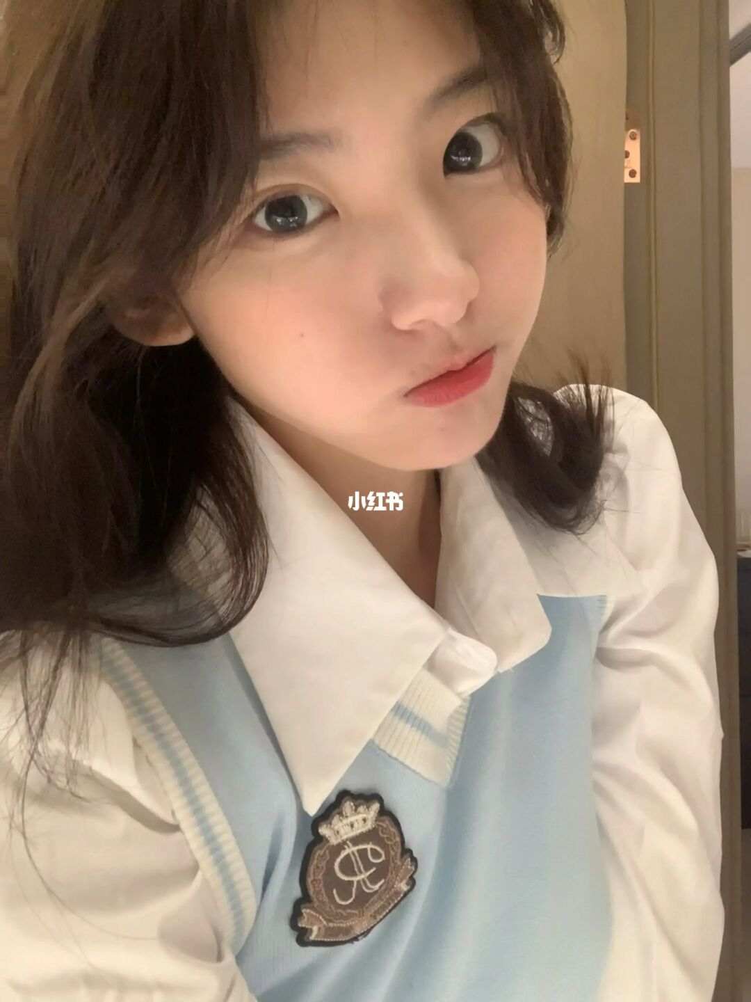 看我blingbling狗狗眼