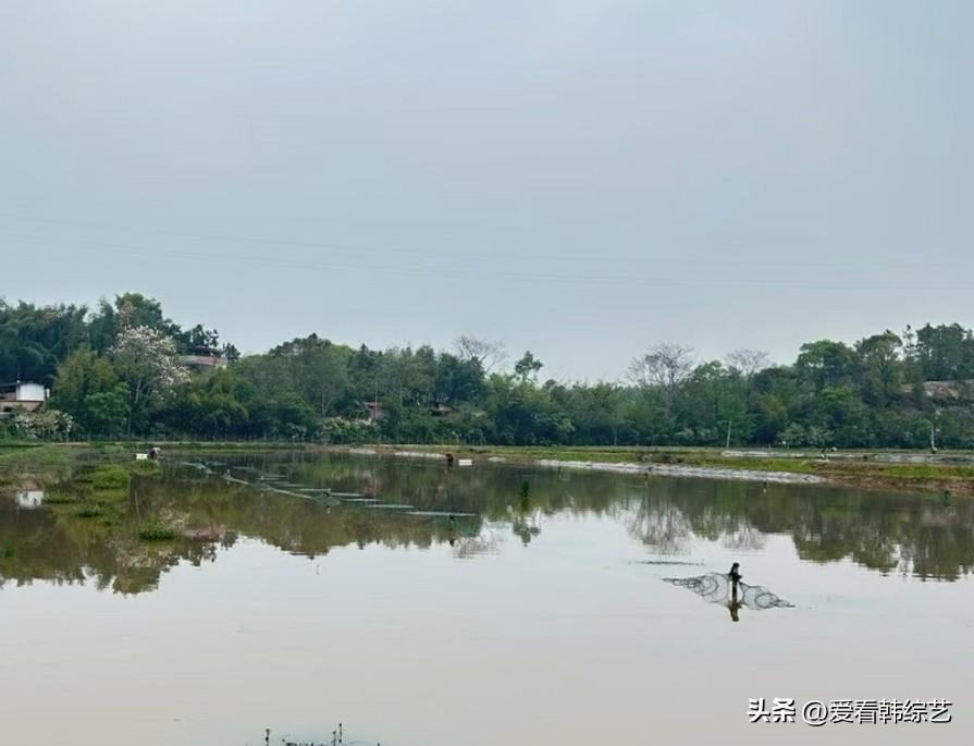春日生活打卡季塘水浸着天的淡灰，岸树的绿影揉在波纹里，渔人撒网的弧度轻晃碎光。郊