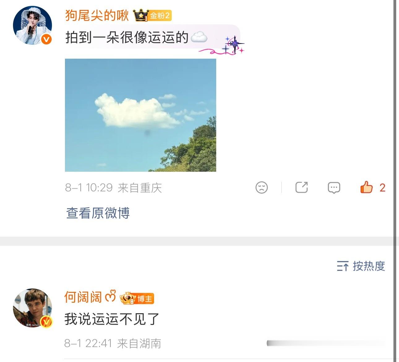 嫂嫂爱运运