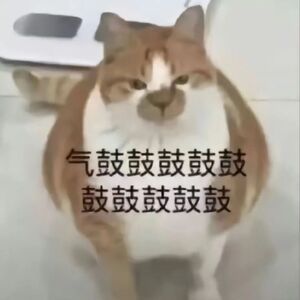 #周杰伦演唱会预售被嘲吃相难看#主办方这么搞，真的会连累艺人的口碑，居然还有退票