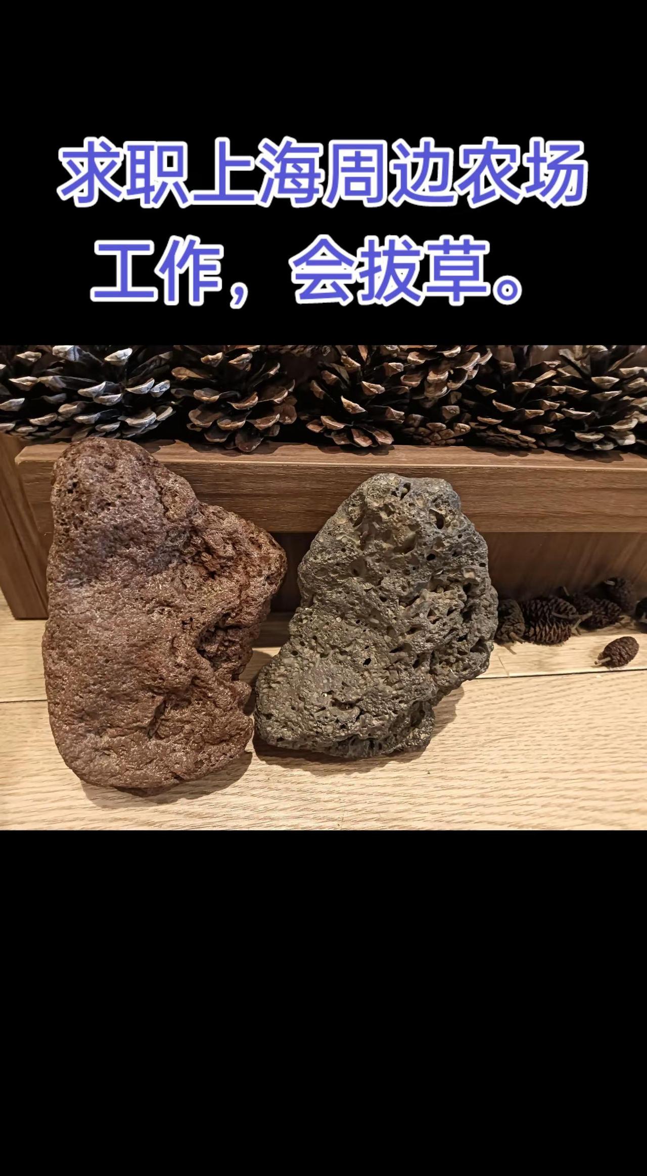 随孩子沪漂，找个农场菜地的工作。