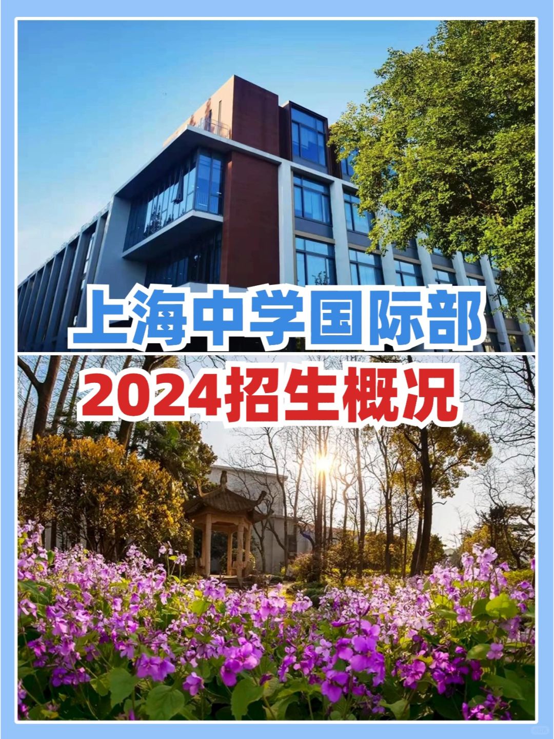 2024上中国际招生活动安排，牛娃们快冲‼️