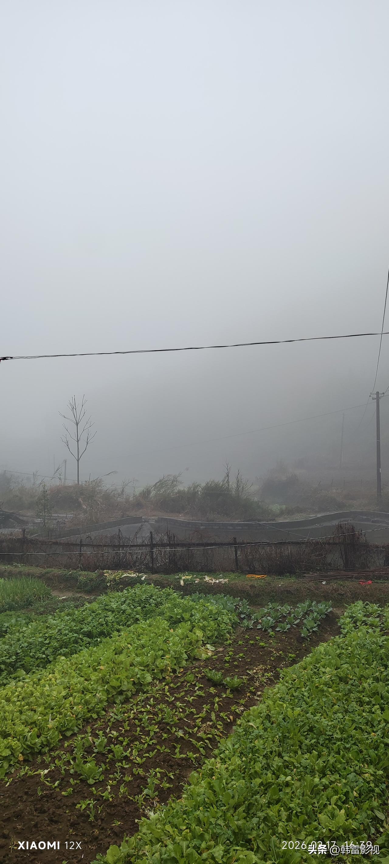 今天周末公司群里发了一个链接
当我看完这个链接后
我所有的焦虑都没有了
链接内容