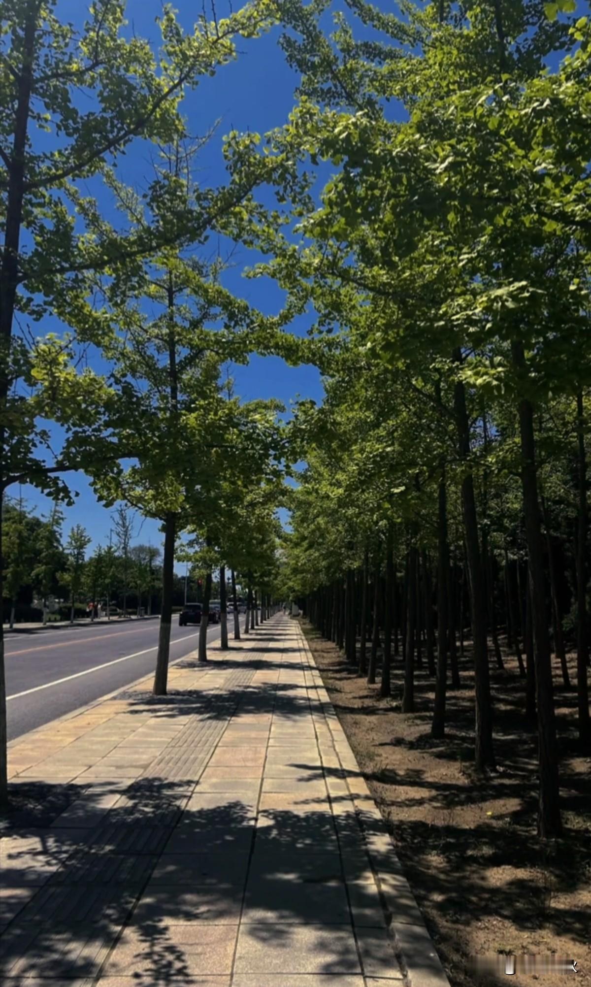 ✌🏻周4️⃣啦
         🥨常快乐
                