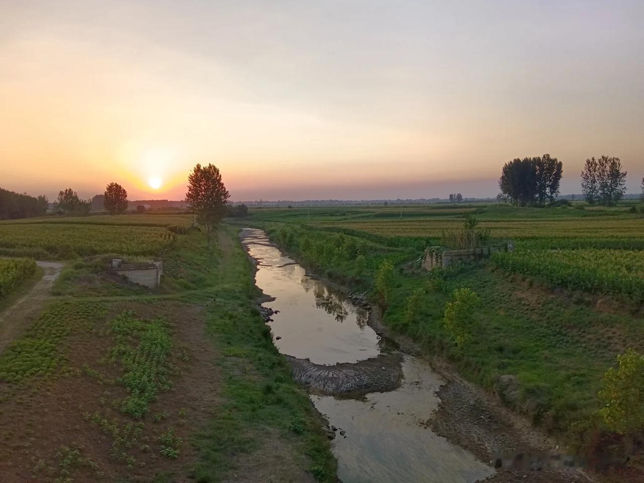邓州构林刁河断流，刁南干渠干涸，仍在持续干旱中。
不过，七月下了两次雨，庄稼长起