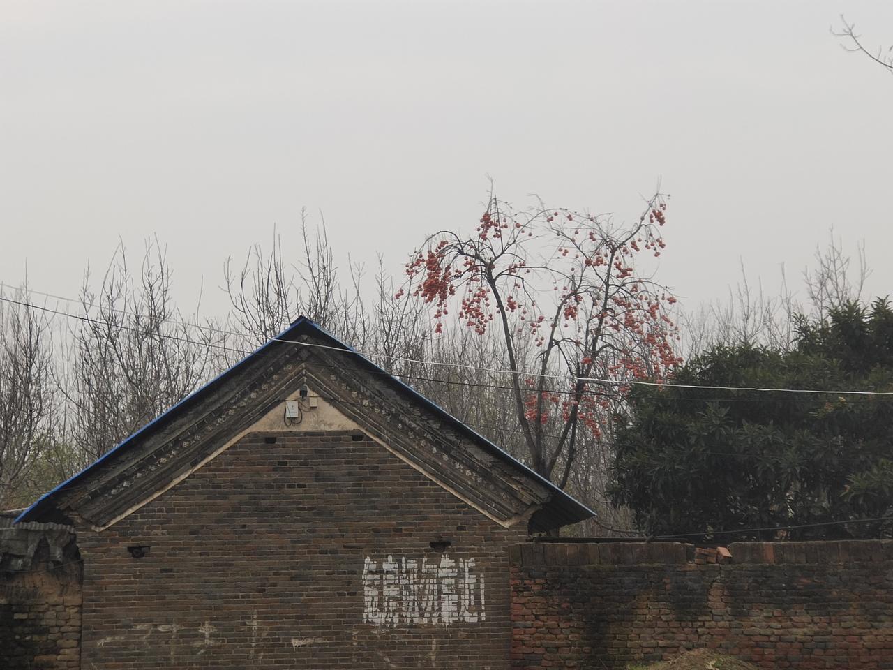 发现没有，村里的村干部，现在好多人都想干
近年来，随着乡村振兴的不断发展，特别是