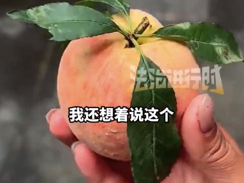 “套路太深了。”一女子，见大妈卖的桃子个个带着绿叶，透着鲜灵劲，便称了一袋。谁知