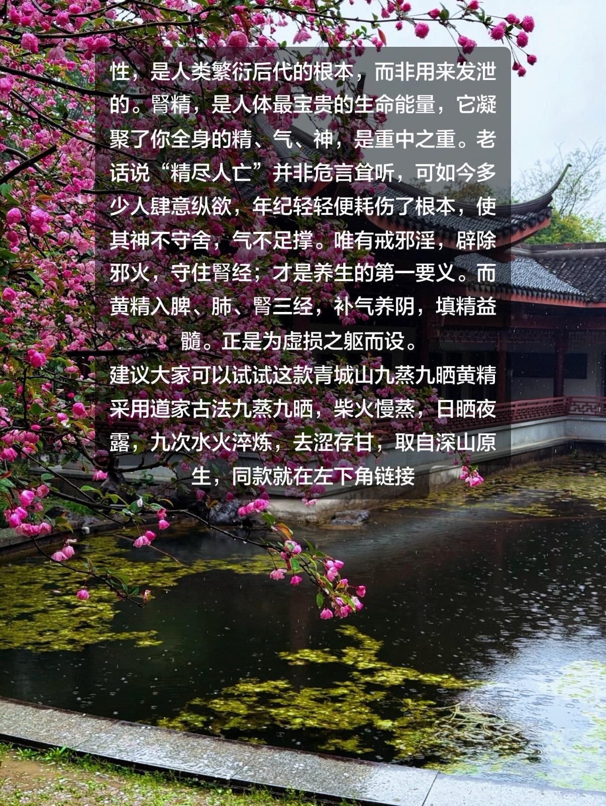 强烈推荐 黄精 九蒸九晒黄精 戒色 禁欲