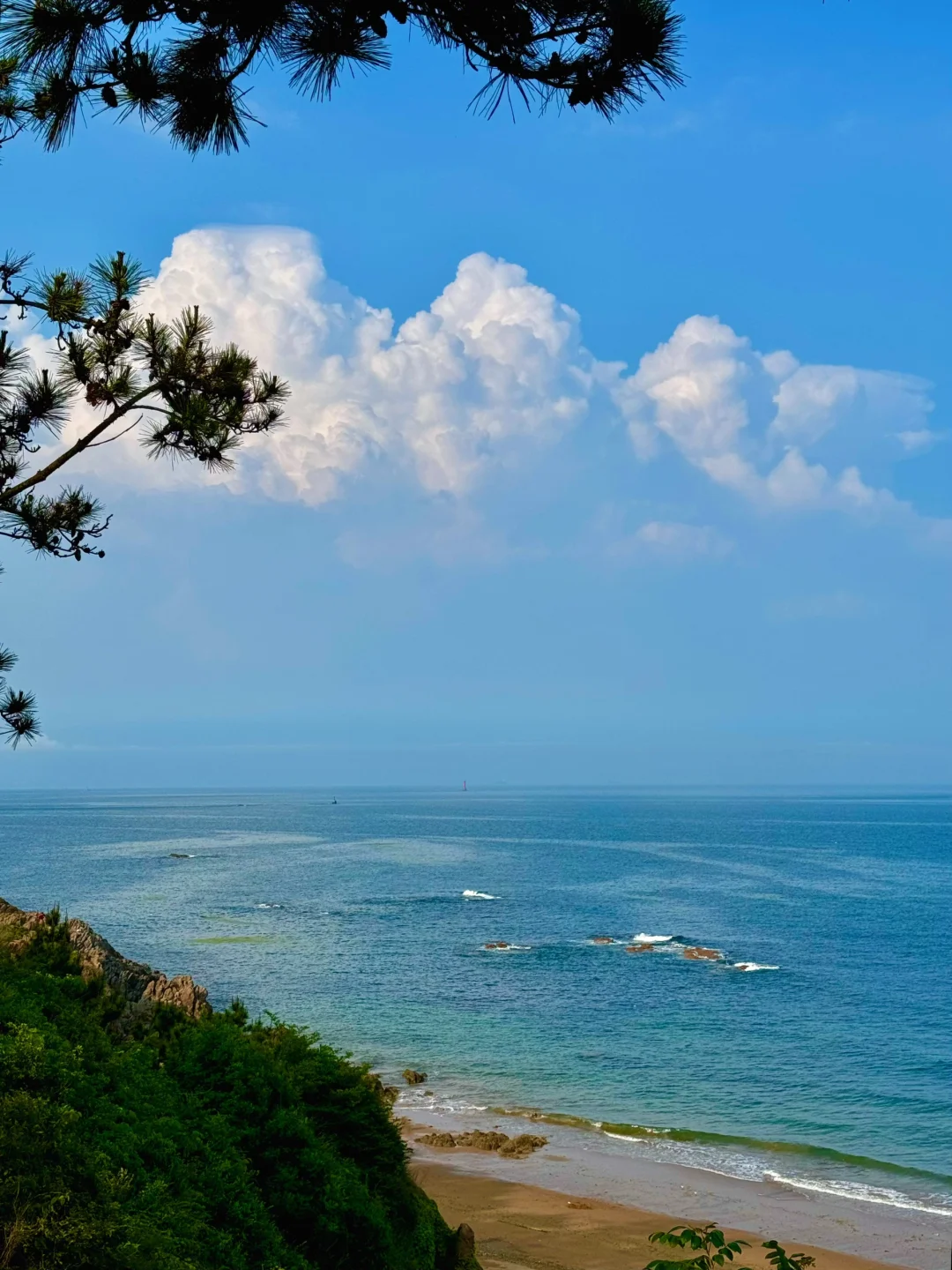 是黄岛东环岛路‼️被低估的看海citywalk路线
