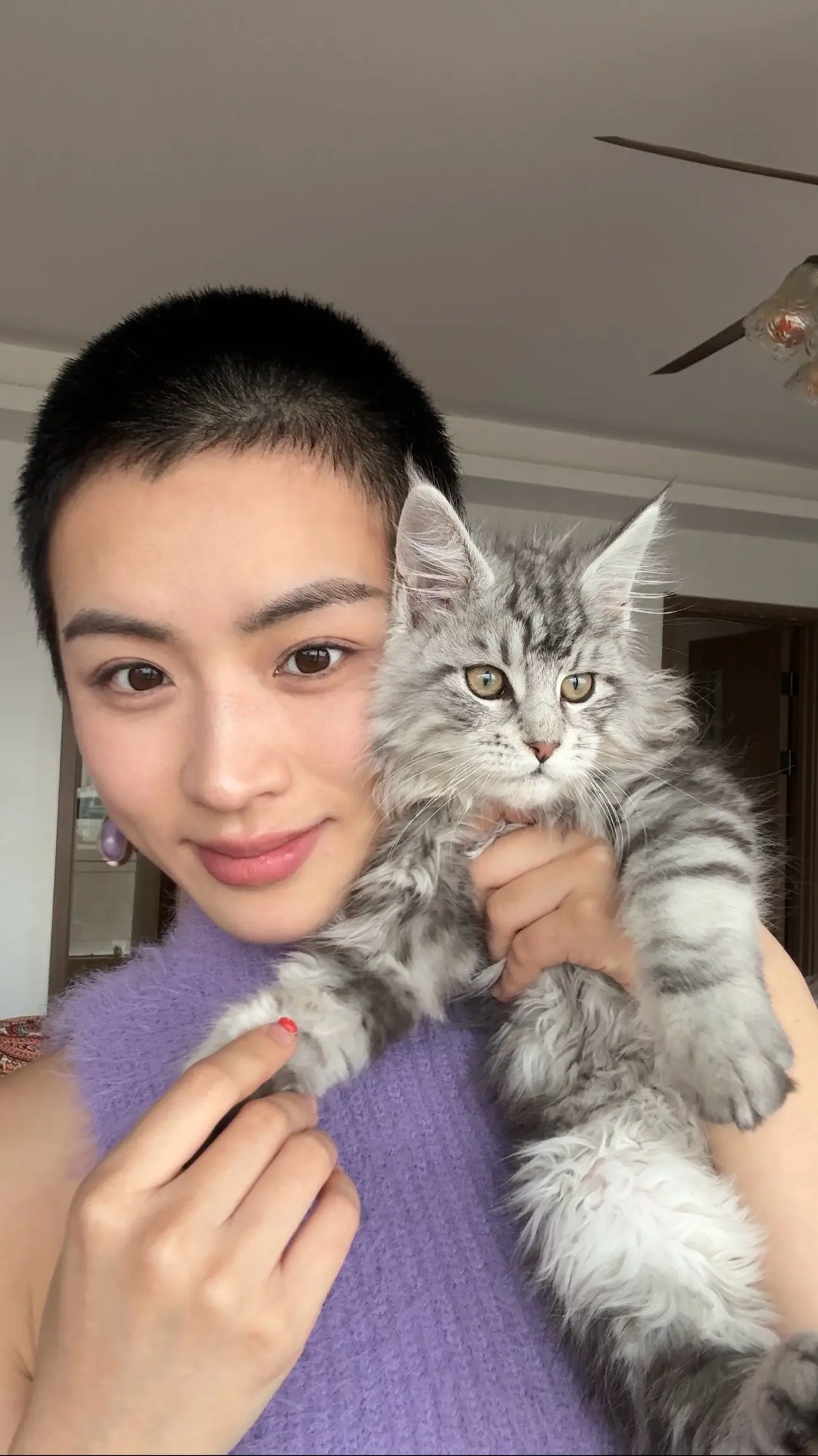 我有猫啦。