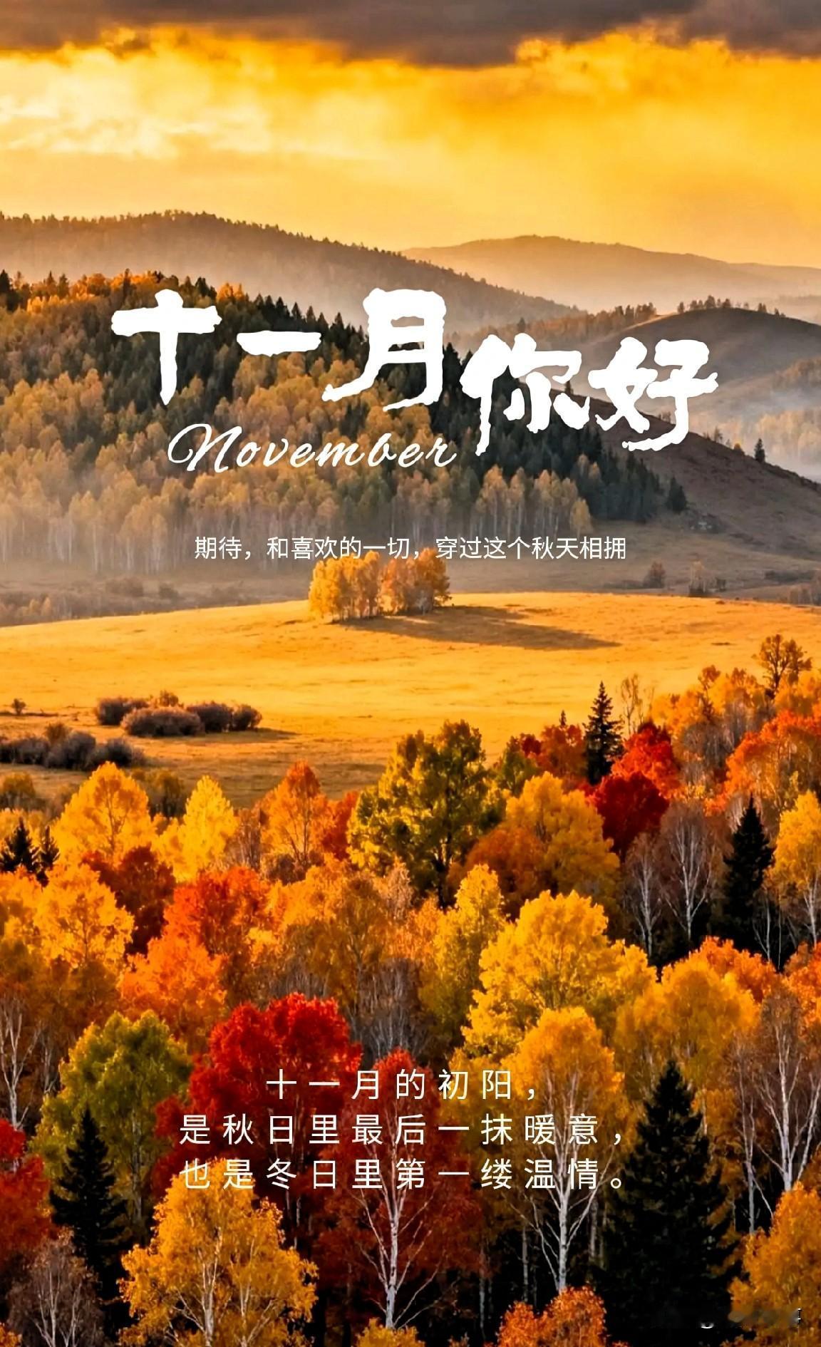 十月，杀青快乐！十一月，请与我一起开挂！ 🚀

翻过今天，2025年就只剩下最