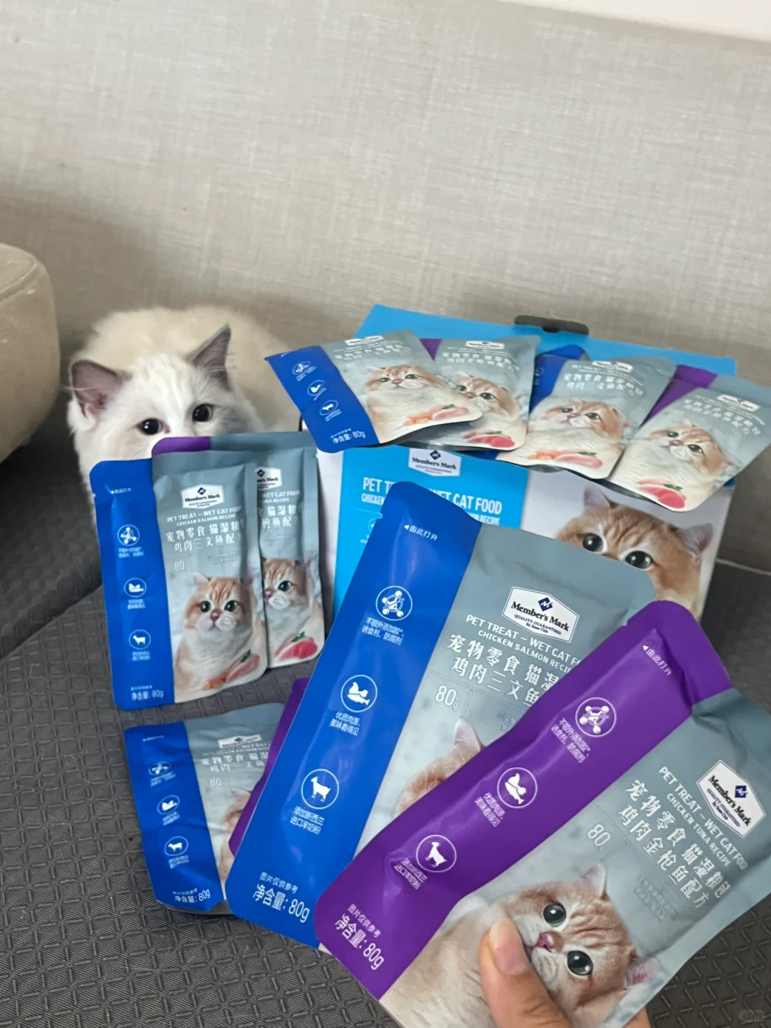 全新升级，营养满分！🐾山姆湿粮包