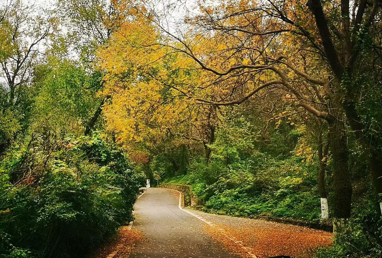 不会，如果骂回去，老公知道了会干架，因为他认为你骂了他妈，那可是他亲妈，再错也不