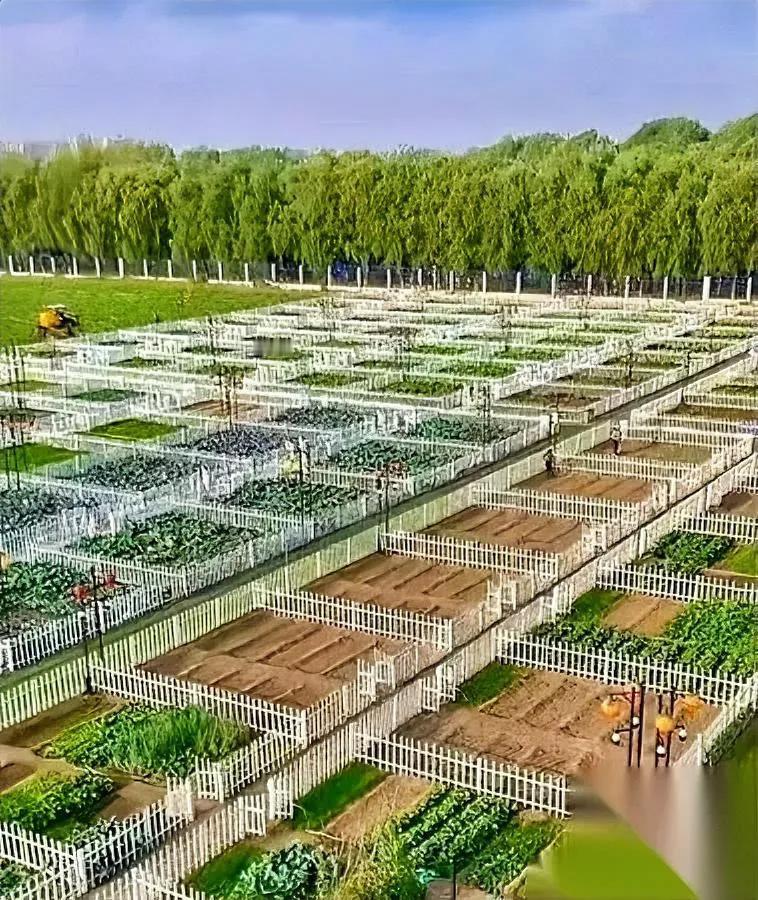 45岁山东大哥

叫韩坤桀

扔十年的荒地，不到十天全抢空一块不剩。

之前他送