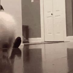 猫珉序严肃时间壶关墨丝中。。。 