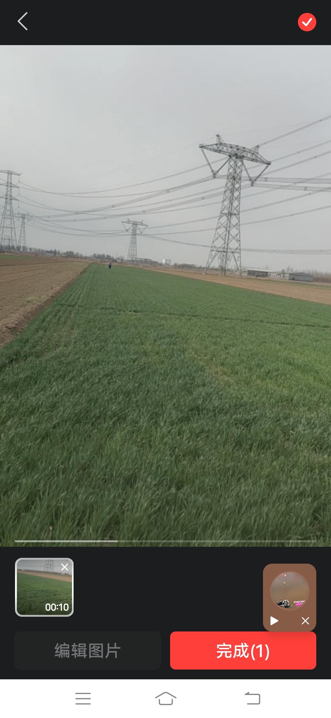 今年春天最想实现的心愿在这个春暖花开的春天里，我的最大心愿是我家的八亩小麦能风调