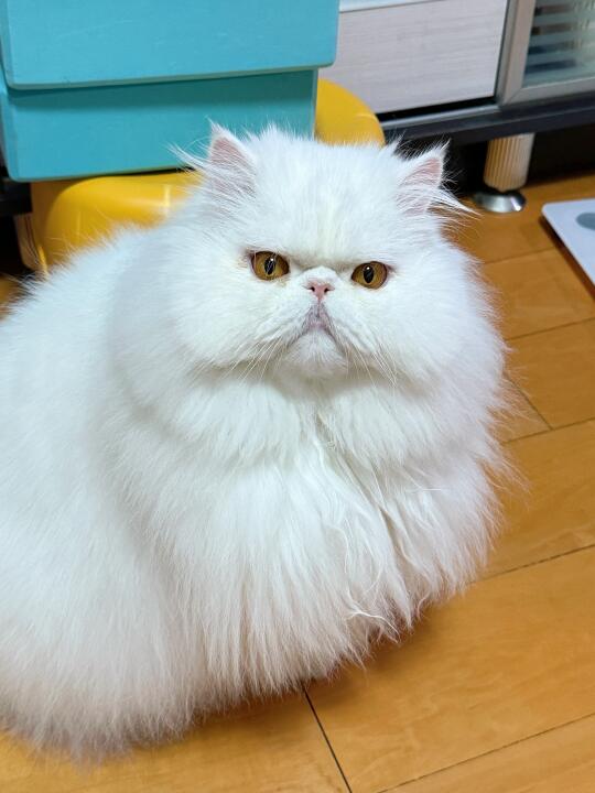 脸还分层了哈哈哈