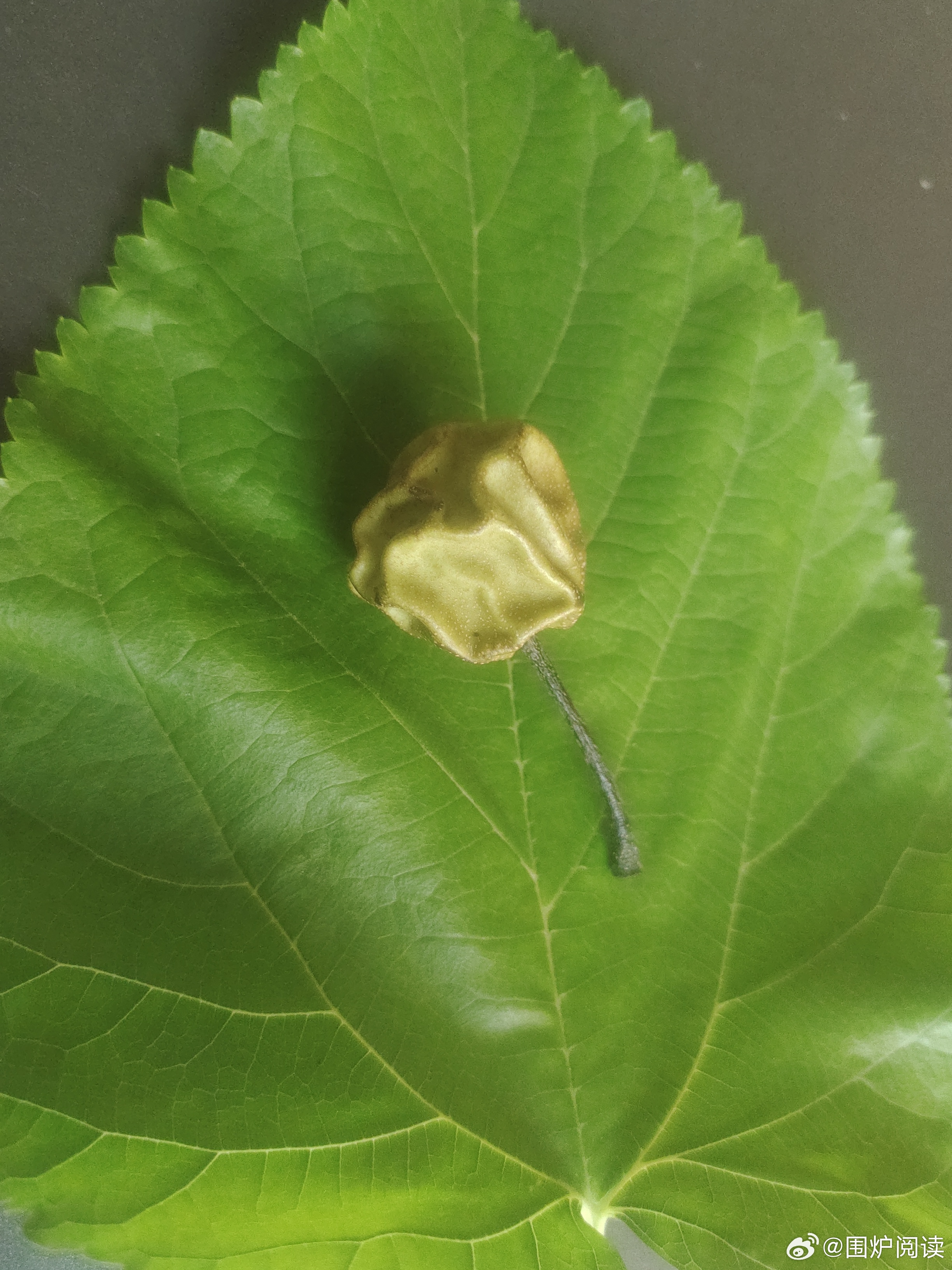 一个人如果熬到没人联系，没有饭局，没有社交，那要恭喜你，可以尽情地去享受孤独。—