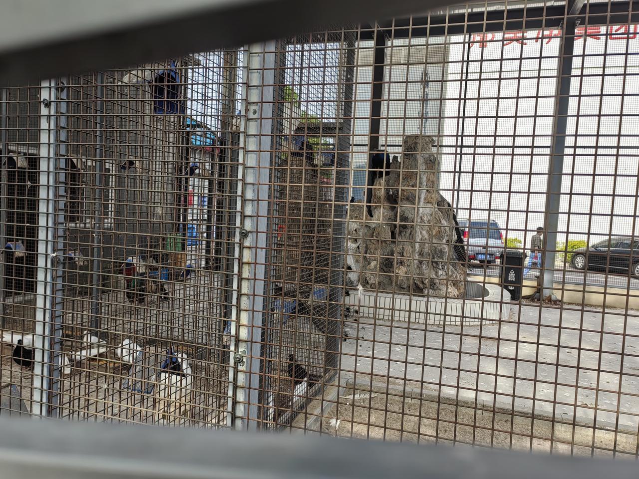 昨天被学生顶撞了，气的手直哆嗦。自己受窝囊气，还怕被家长投诉。其实投诉也无所谓，