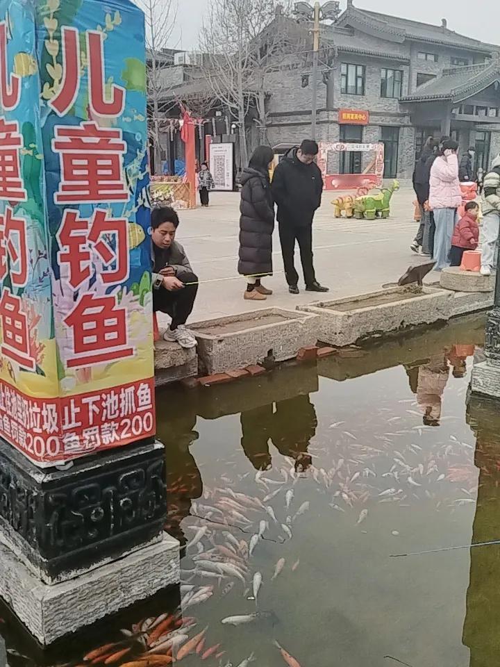 这些观赏鱼可遭罪了