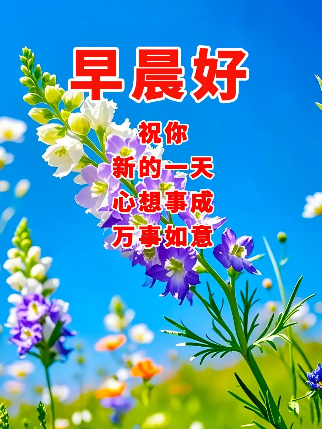 2026.3.31 星期二，早上好🌷
周二清晨送吉祥，
平安顺遂心安康。
烦恼