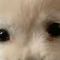 每日一善 11.人最重要的是心灵的安稳与平静，何必跟自己过不去。我们能做的就是面