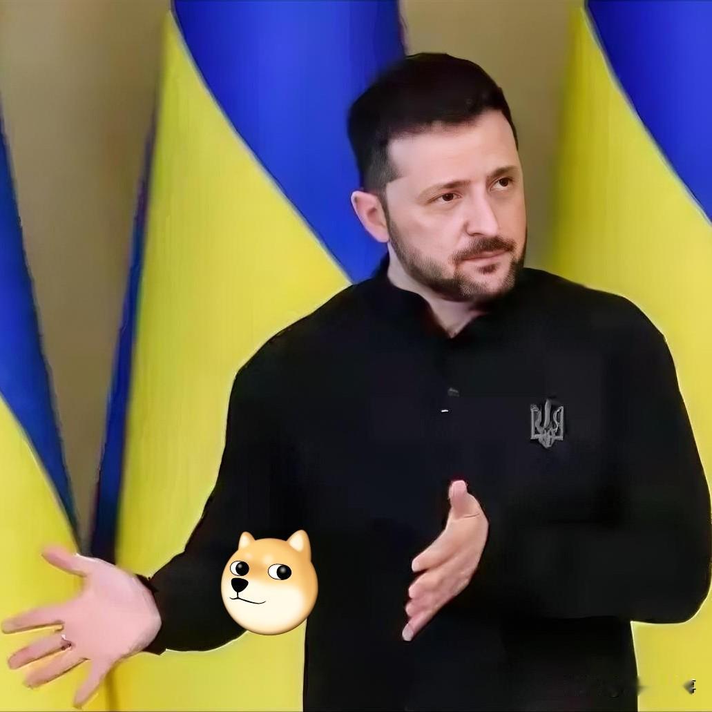 直接打脸欧尔班！
泽连斯基这次把话聊透了：管道是俄国炸的，有本事找普京算账

没