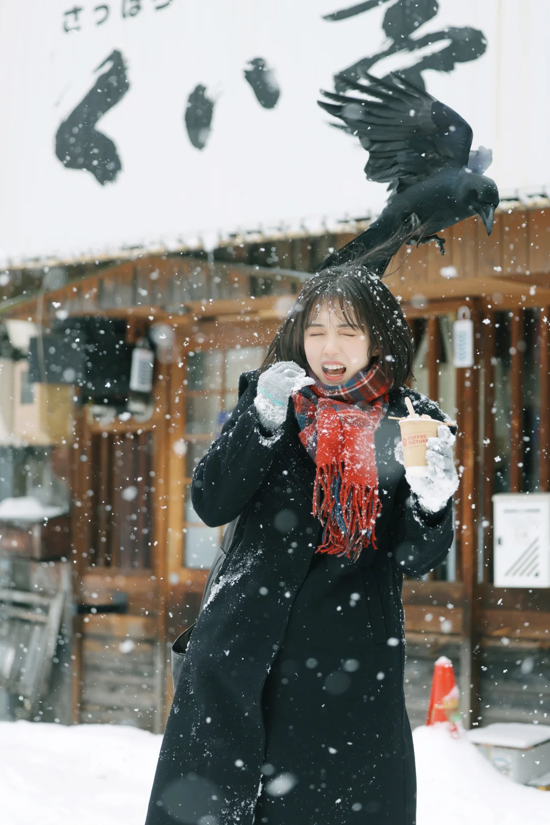 在北海道被乌鸦袭击的珍贵留影…