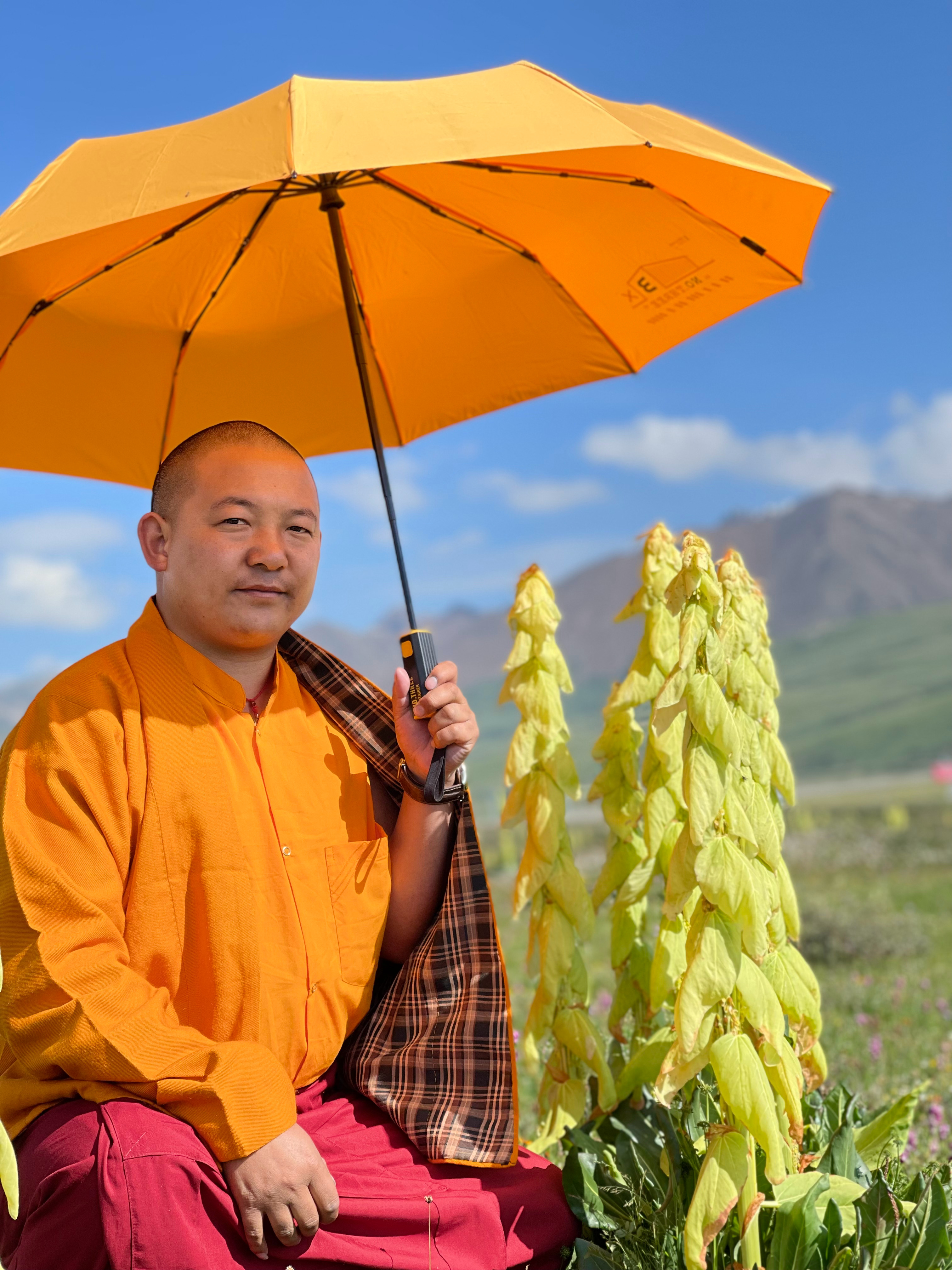 —切和合事物皆无常，一切现象既非无因，也非源于创造者，而是来自因缘。行之善恶取決