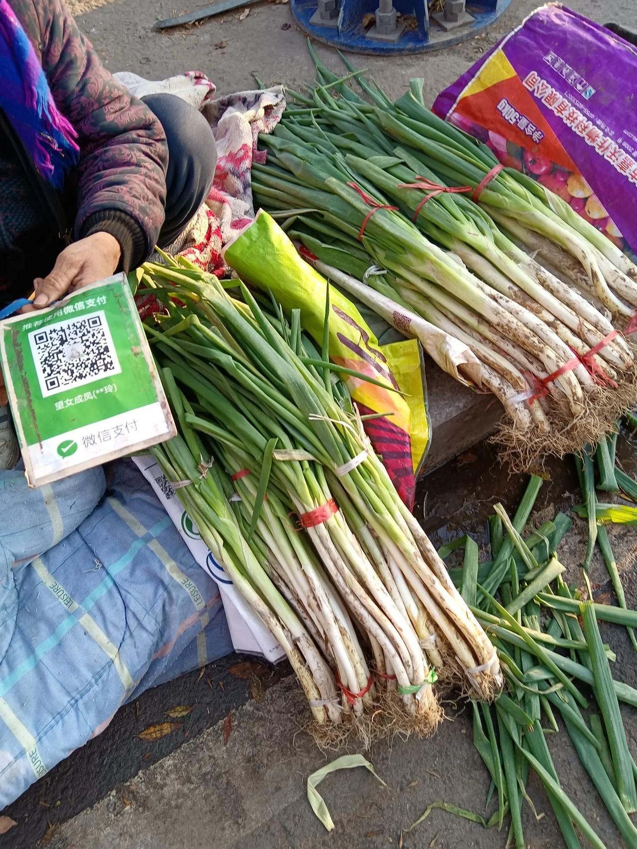 你们发现了吗？

市场上那些卖菜的老年人

大多数都是来自农村

一年四季经管着