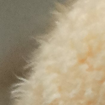 0000你说暗香浮动，刹那光芒；后来玉殒琼碎，孤影横窗。你说良辰美景，乘兴独往；