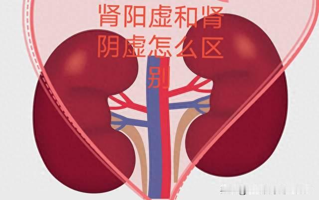 阴虚是水烧干了，阳虚是火灭没了：读懂这句，才算会补肾