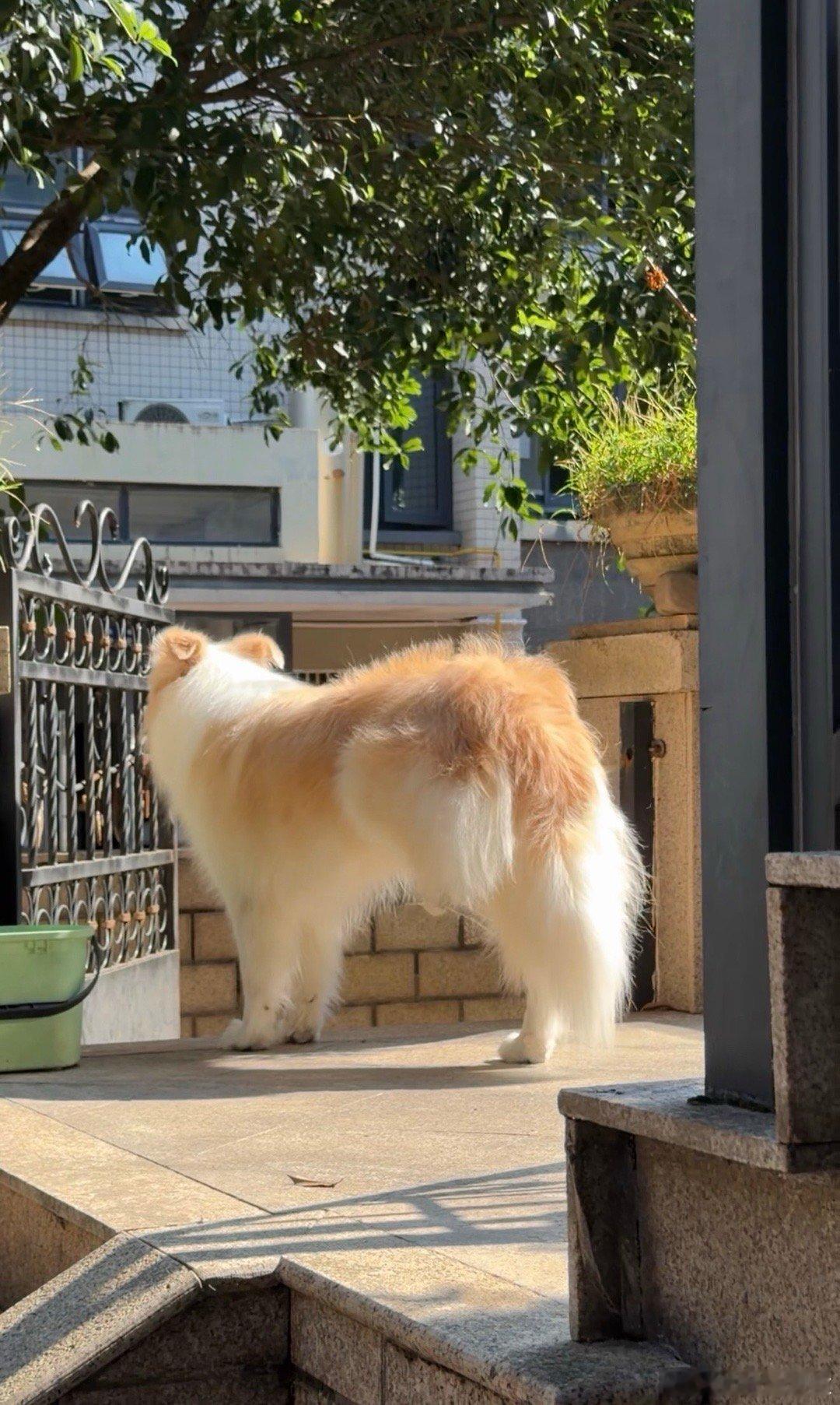 烫到抬脚还想出去玩 