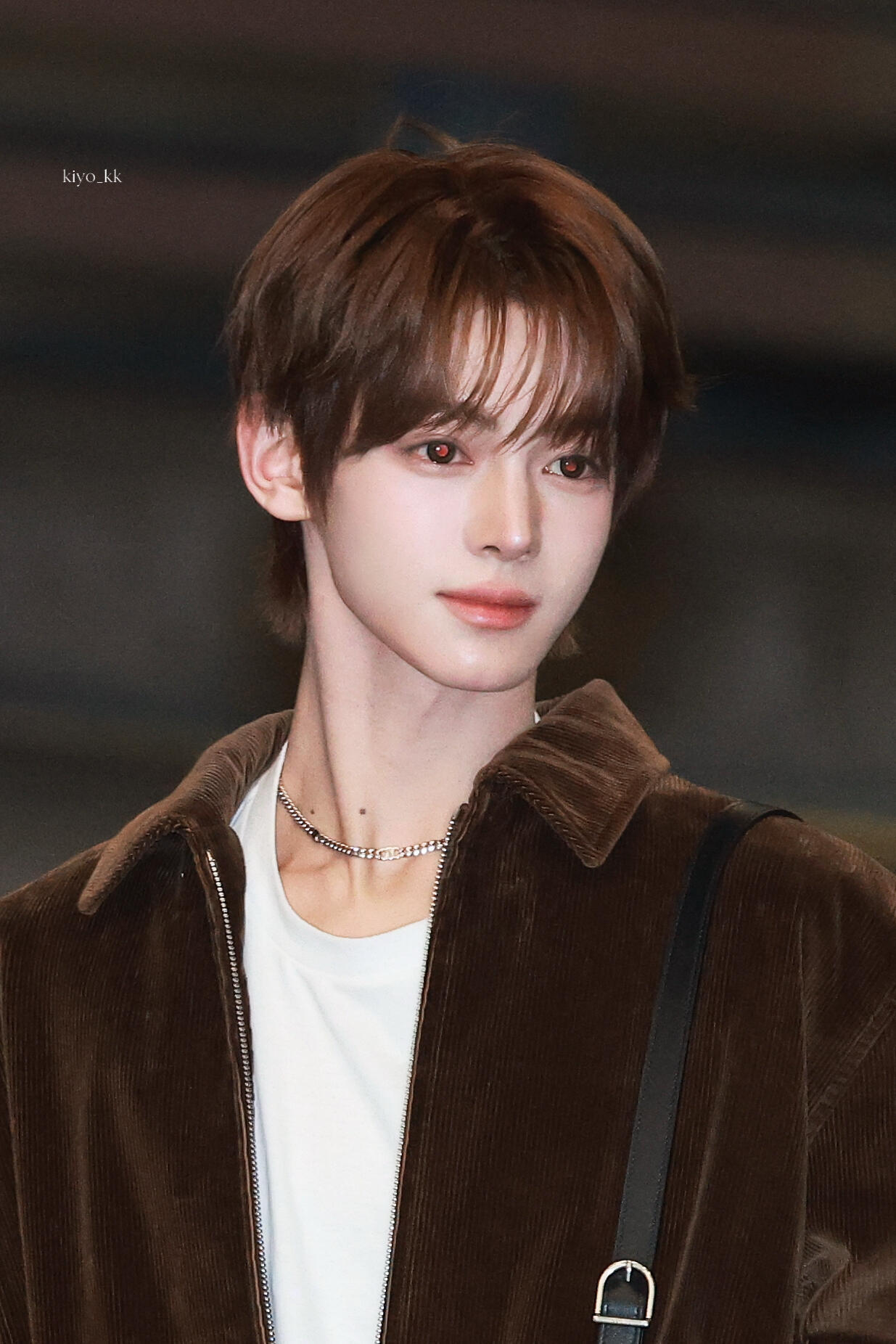 【韩振】那个小吸血鬼好漂亮    ／cr logo aaa红毯