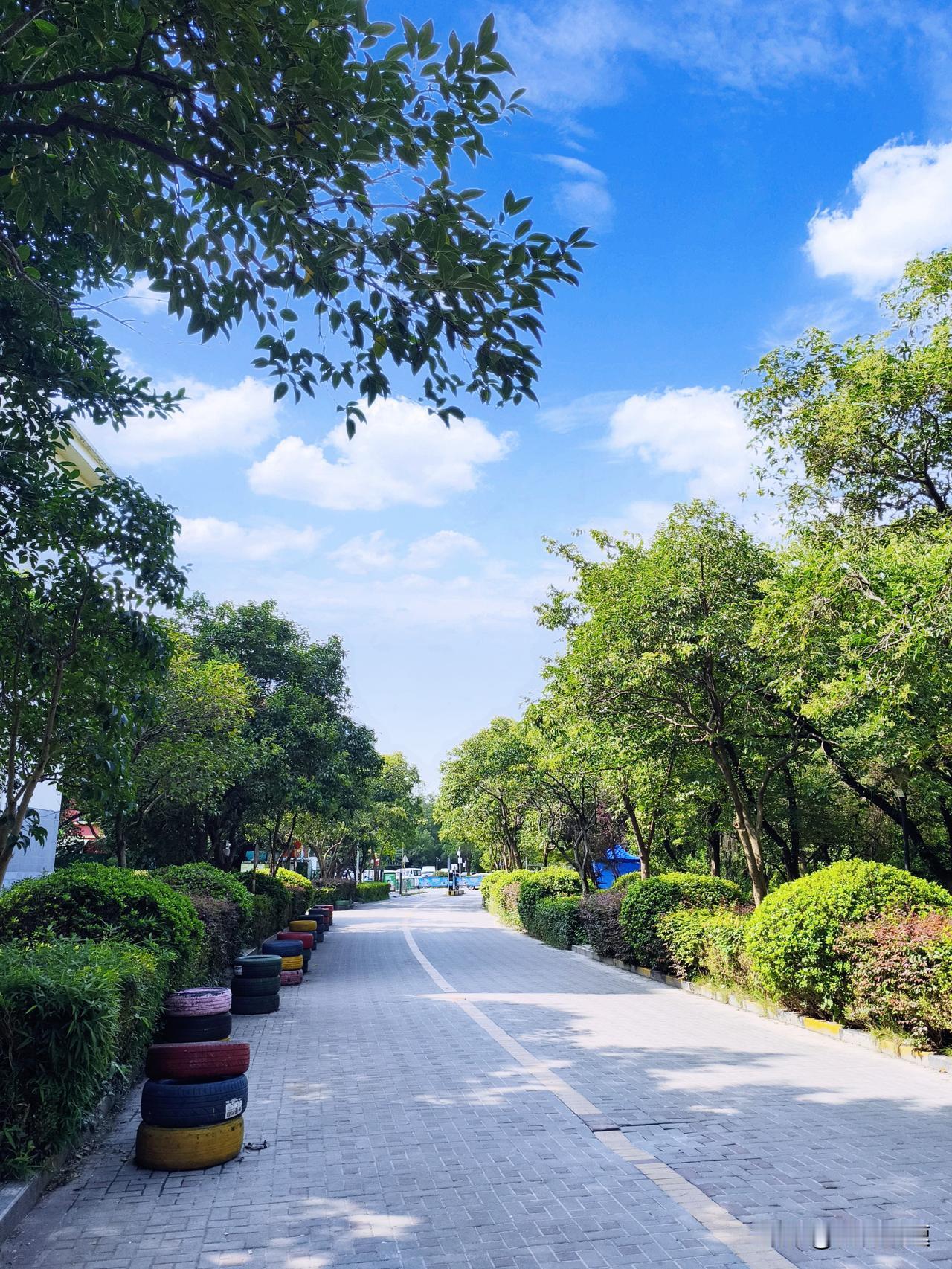 南京的盛夏开始了，眼下进入三伏的中伏阶段，今年中伏从7月25日到8月13日，三伏